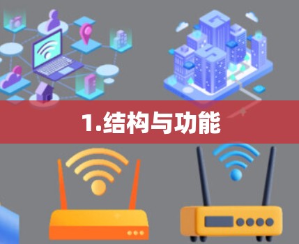 1.结构与功能