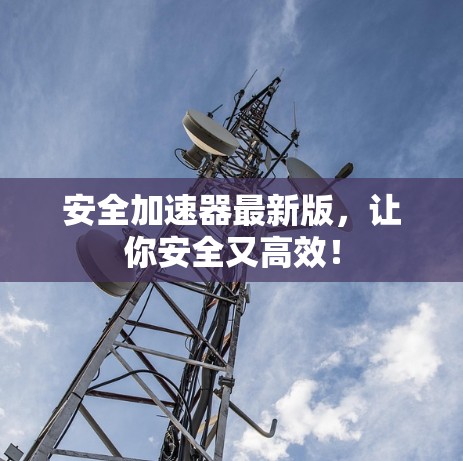 安全加速器最新版，让你安全又高效！