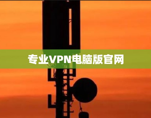 专业VPN电脑版官网