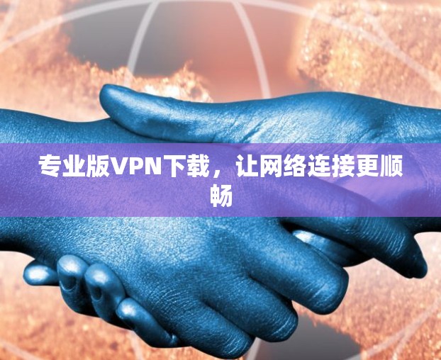 专业版VPN下载，让网络连接更顺畅
