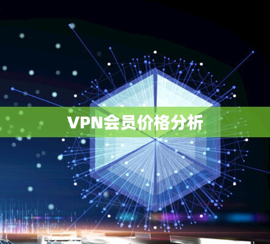 VPN会员价格分析