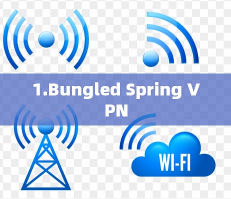 1.Bungled Spring VPN