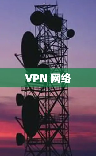 VPN 网络