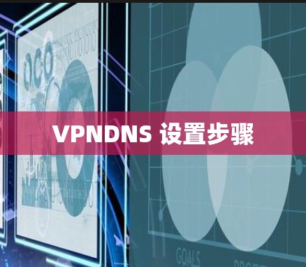 VPNDNS 设置步骤