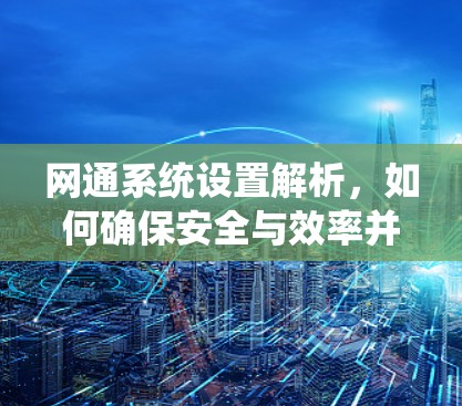 网通系统设置解析，如何确保安全与效率并存