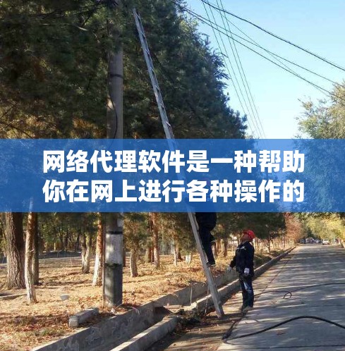 网络代理软件是一种帮助你在网上进行各种操作的软件包，包含多个插件，每个插件提供特定功能。以下是一个详细的步骤指南，帮助你学习和使用网络代理软件