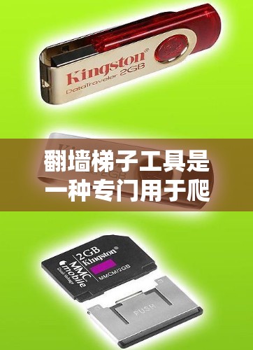 翻墙梯子工具是一种专门用于爬取网页以获取隐藏资源的工具，如文档、书籍或视频的软件或应用程序。以下是对该工具的详细分析和总结