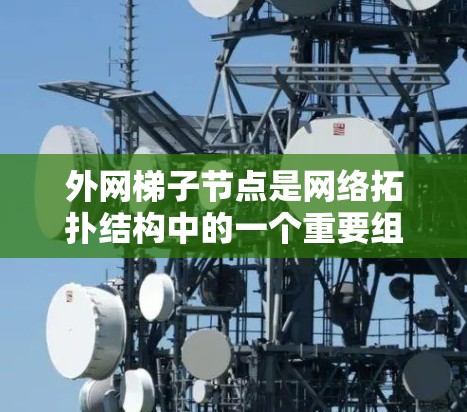 外网梯子节点是网络拓扑结构中的一个重要组成部分，通常用于分层网络。以下是对外网梯子节点的详细介绍和实现步骤