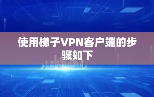 使用梯子VPN客户端的步骤如下