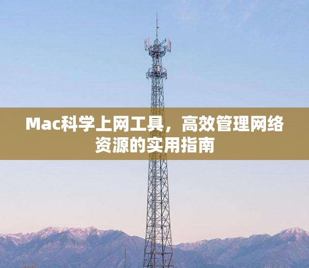 Mac科学上网工具，高效管理网络资源的实用指南