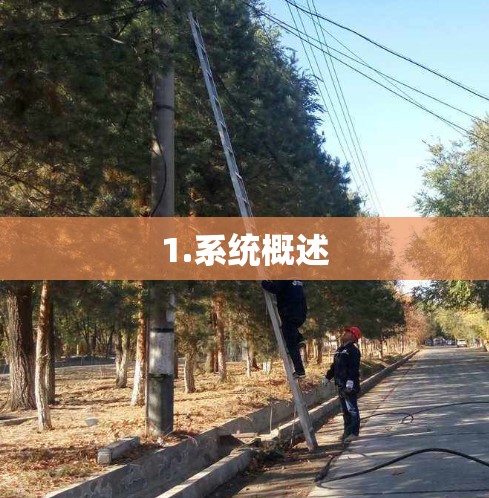 1.系统概述
