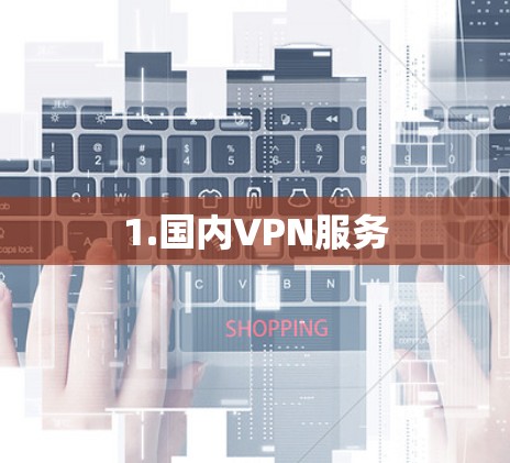 1.国内VPN服务