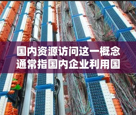国内资源访问这一概念通常指国内企业利用国内资源进行开发和生产的情况。国内资源访问可能涉及多个领域，包括但不限于
