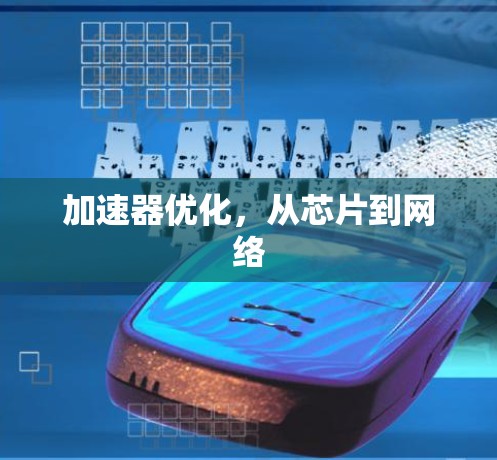 加速器优化，从芯片到网络