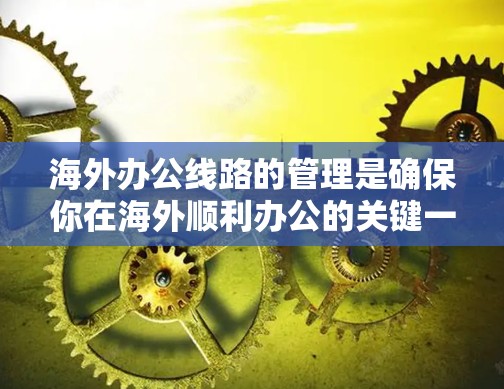 海外办公线路的管理是确保你在海外顺利办公的关键一环。以下是一些实用的建议，帮助你更好地管理你的海外办公