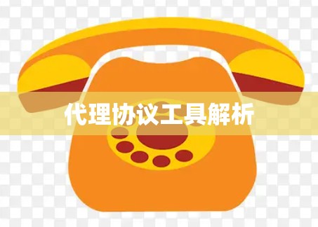 代理协议工具解析
