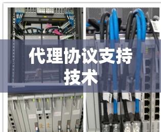 代理协议支持技术