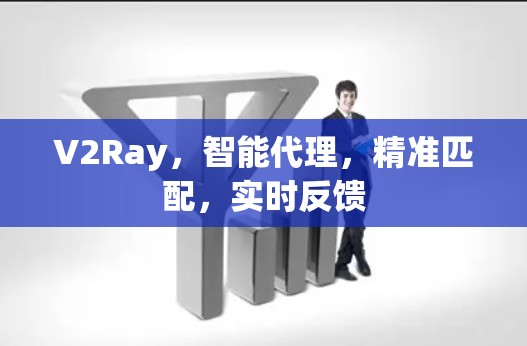 V2Ray，智能代理，精准匹配，实时反馈