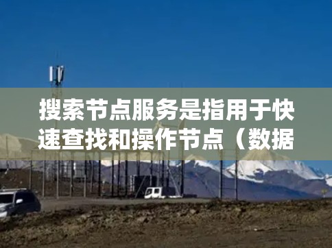 搜索节点服务是指用于快速查找和操作节点（数据结构或文件）的工具或服务。节点通常指存储数据的基础设施，如数据库、云存储或容器。搜索节点服务通常用于数据管理和系统优化，帮助用户高效访问和管理节点