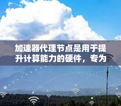 加速器代理节点是用于提升计算能力的硬件，专为处理加速器而设计。以下是关于加速器代理节点的详细信息