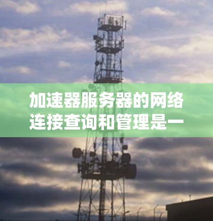 加速器服务器的网络连接查询和管理是一个系统性的问题，涉及多个步骤和可能的解决方案。以下是一个结构化的指南，帮助你逐步解决该问题