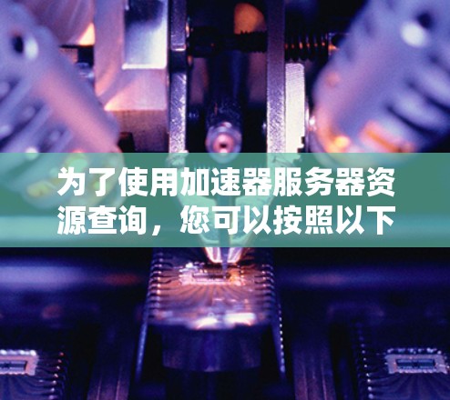 为了使用加速器服务器资源查询，您可以按照以下步骤进行