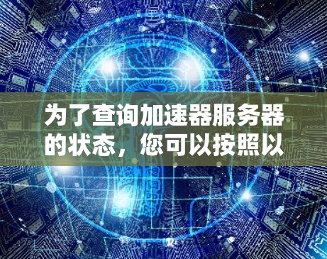 为了查询加速器服务器的状态，您可以按照以下步骤操作