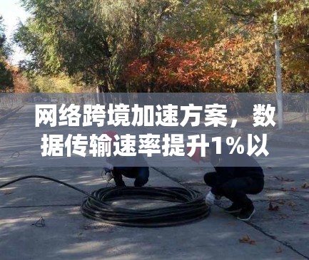 网络跨境加速方案，数据传输速率提升1%以上