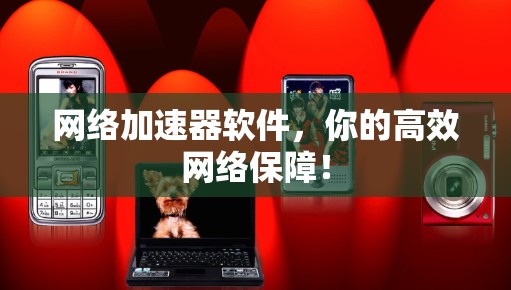 网络加速器软件，你的高效网络保障！