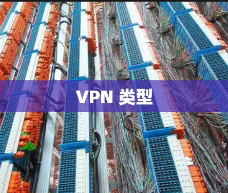 VPN 类型