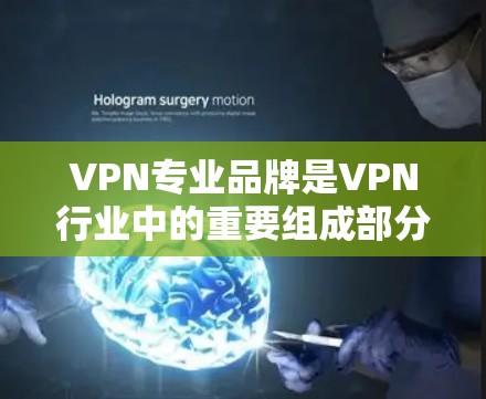 VPN专业品牌是VPN行业中的重要组成部分，这些品牌通常专注于提供安全、可靠、高效的VPN服务。以下是几个主要的VPN专业品牌