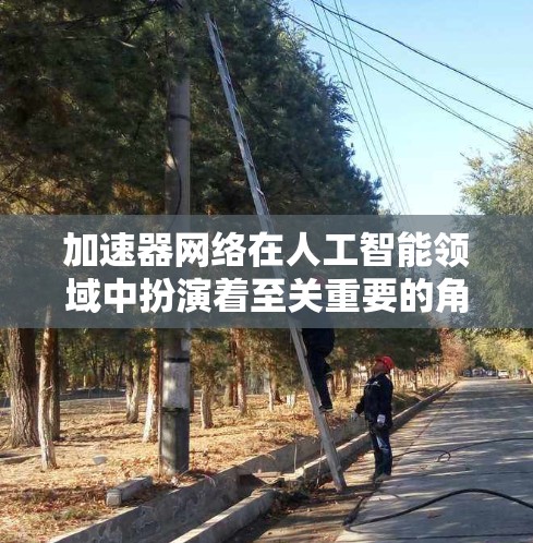 加速器网络在人工智能领域中扮演着至关重要的角色，帮助加速AI模型的训练和推理过程。以下是对加速器网络的详细总结和理解