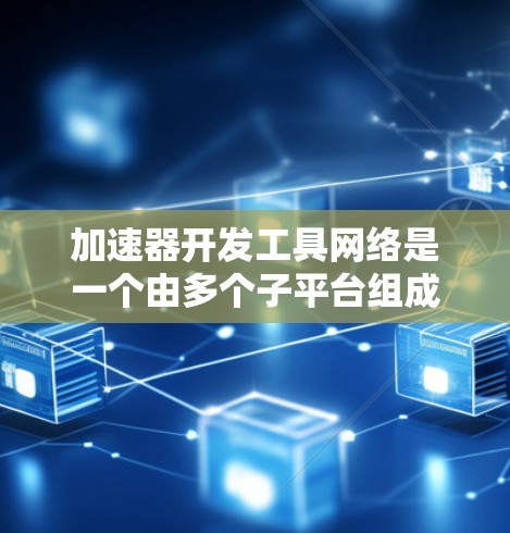 加速器开发工具网络是一个由多个子平台组成的网络，旨在为开发者提供构建和管理加速器的工具和资源。以下是该网络的详细分析