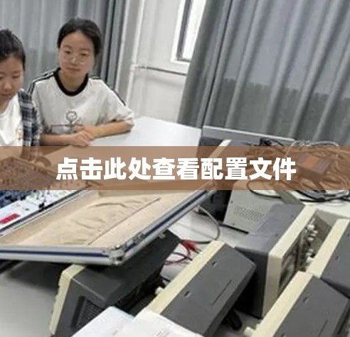 点击此处查看配置文件