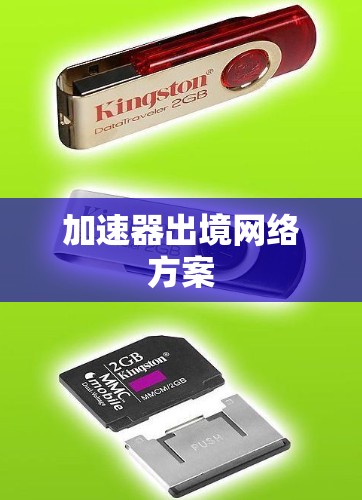 加速器出境网络方案
