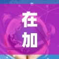 在加速器海外办公连接方面，以下是详细的步骤和建议
