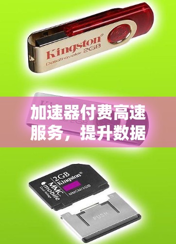 加速器付费高速服务，提升数据传输效率的全新解决方案