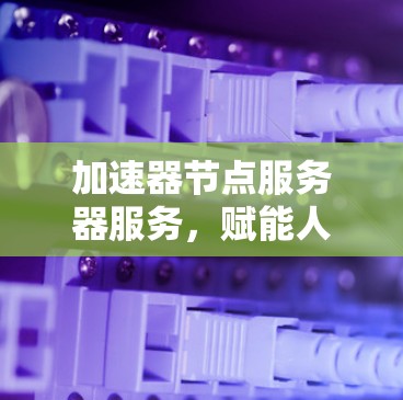 加速器节点服务器服务，赋能人工智能时代的数据流管理