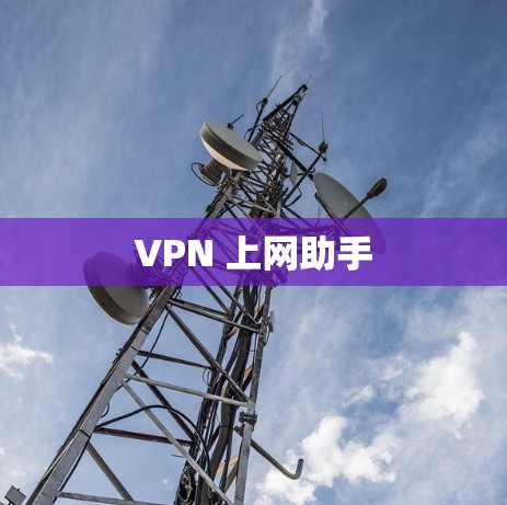 VPN 上网助手