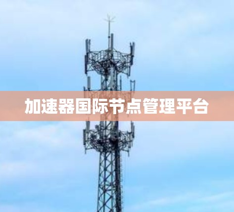 加速器国际节点管理平台