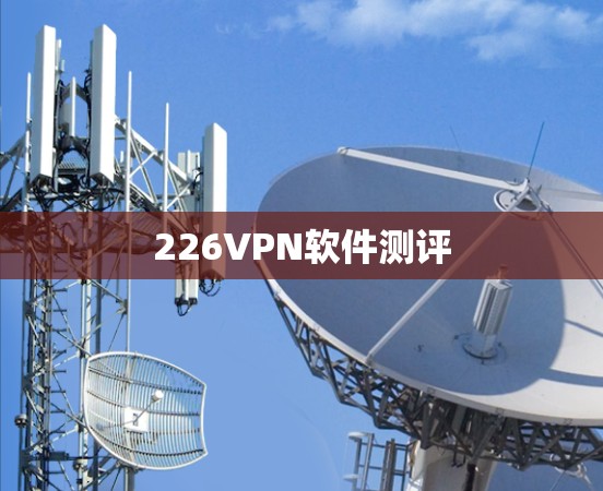 226VPN软件测评