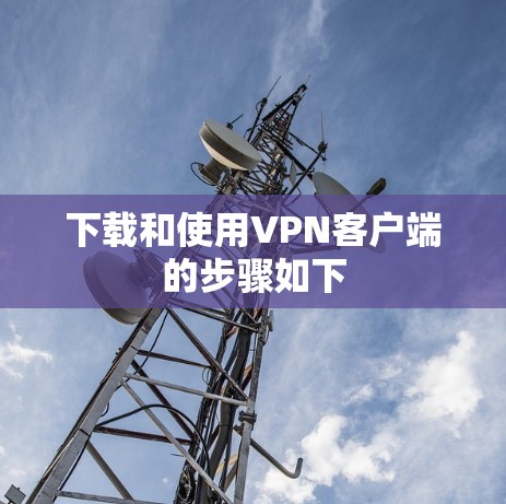 下载和使用VPN客户端的步骤如下