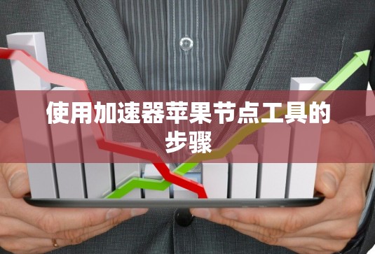 使用加速器苹果节点工具的步骤