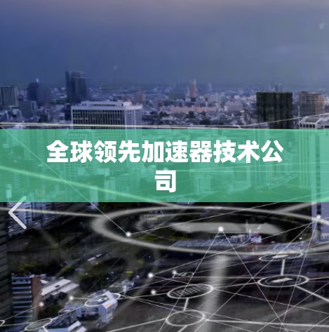 全球领先加速器技术公司