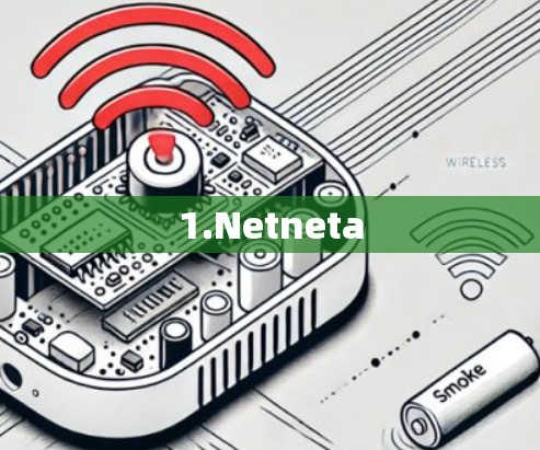 1.Netneta