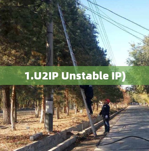 1.U2IP Unstable IP)