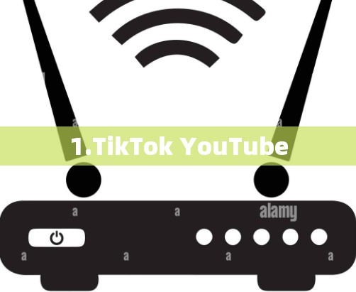 1.TikTok YouTube