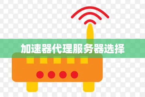 加速器代理服务器选择