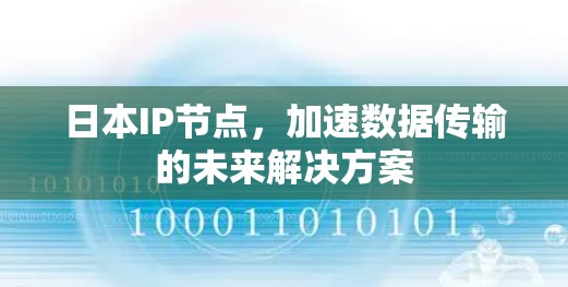 日本IP节点，加速数据传输的未来解决方案