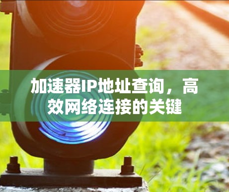 加速器IP地址查询，高效网络连接的关键